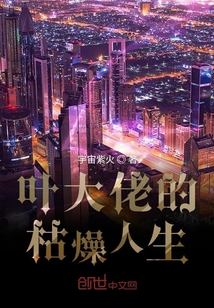 葉大佬的枯燥人生