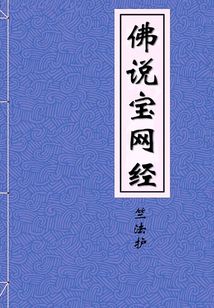 佛說寶網經