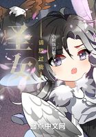 圣女請放過我在線閱讀
