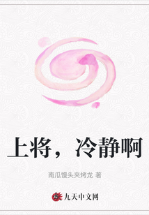 上將，冷靜啊