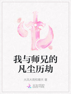 我与师兄的凡尘历劫在线阅读