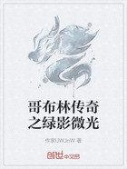 哥布林传奇之绿影微光在线阅读