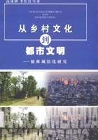 从乡村文化到都市文明:榆林城镇化研究在线阅读