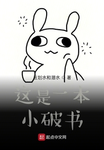 這是一本小破書