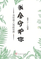 當(dāng)你進(jìn)入我的世界我會(huì)守護(hù)你在線閱讀