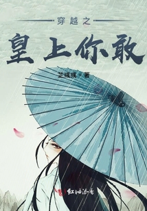 穿越之皇上你敢