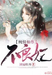 純情仙尊不良妃