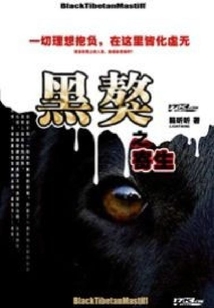 黑獒