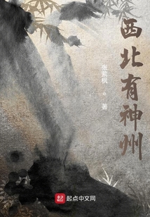 西北有神州