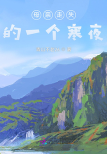母親走失的一個寒夜