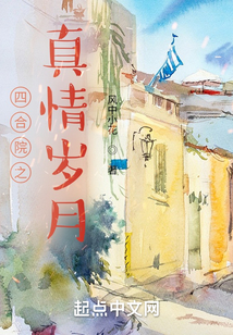 四合院之真情岁月 cover