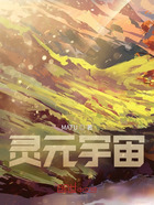 灵元宇宙在线阅读