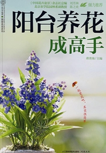 陽臺養花成高手