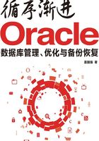 循序渐进Oracle：数据库管理、优化与备份恢复