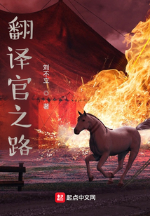 翻譯官之路
