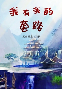 我有我的套路