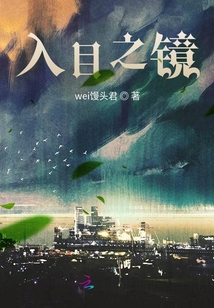 入目之鏡