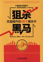 狙杀黑马：实盘操作的36个擒杀术在线阅读