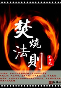 焚燒法則