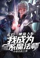 玄幻:被迫入赘,我成为全系魔法师