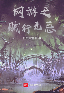 网游之贼行无忌