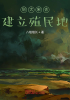 到大宋去建立殖民地在线阅读