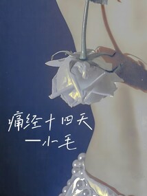 痛经14天