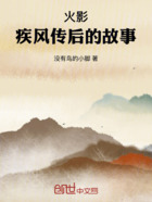 火影：疾风传后的故事在线阅读