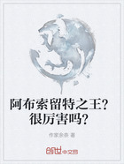 阿布索留特之王？很厉害吗？在线阅读