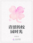 青涩的校园时光在线阅读