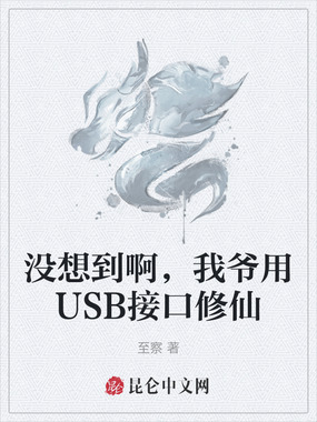 没想到啊，我爷用USB接口修仙在线阅读