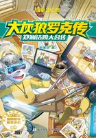 大灰狼罗克传在线阅读