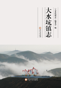 大水坑鎮志