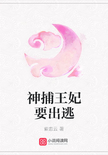 神捕王妃要出逃