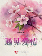 遇见爱情