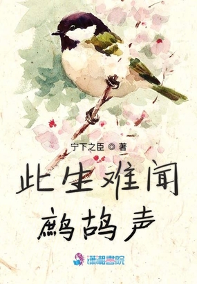 此生难闻鹧鸪声在线阅读
