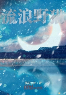 流浪野貓
