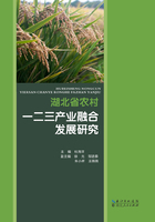湖北省农村一二三产业融合发展研究在线阅读
