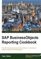 SAP BusinessObjects Reporting Cookbook在线阅读