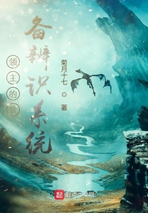 領主的裝備辨識系統