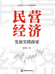 民營(yíng)經(jīng)濟(jì)發(fā)展實(shí)踐探索