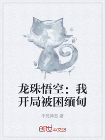 龍珠悟空：我開局被困緬甸