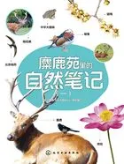 麋鹿苑里的自然笔记（一）在线阅读