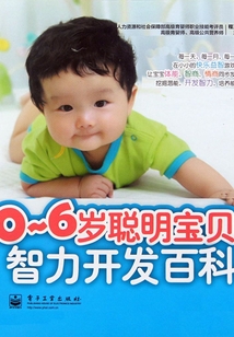 0~6岁聪明宝贝智力开发百科