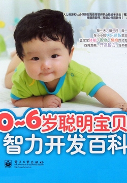 0～6岁聪明宝贝智力开发百科 封面