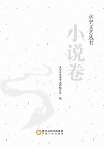 永寧文藝叢書·小說卷