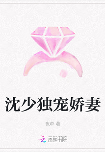 沈少獨(dú)寵嬌妻