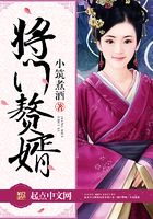 将门赘婿在线阅读