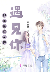 那年星辰花開遇見你