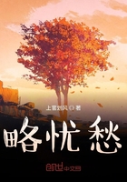 略憂愁在線閱讀